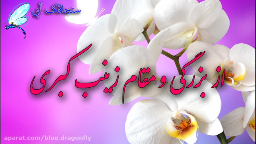 تبریک ولادت حضرت زینب  کلیپ تب...