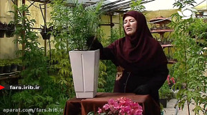 آموزش نگهداری و پرورش گیاه &qu...