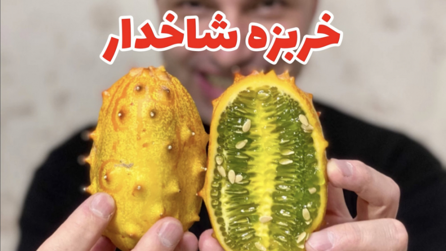 خربزه شاخدار یا خیار آفریقایی