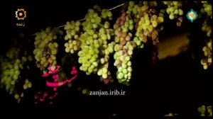 ترانه شاد محبت یلدایی