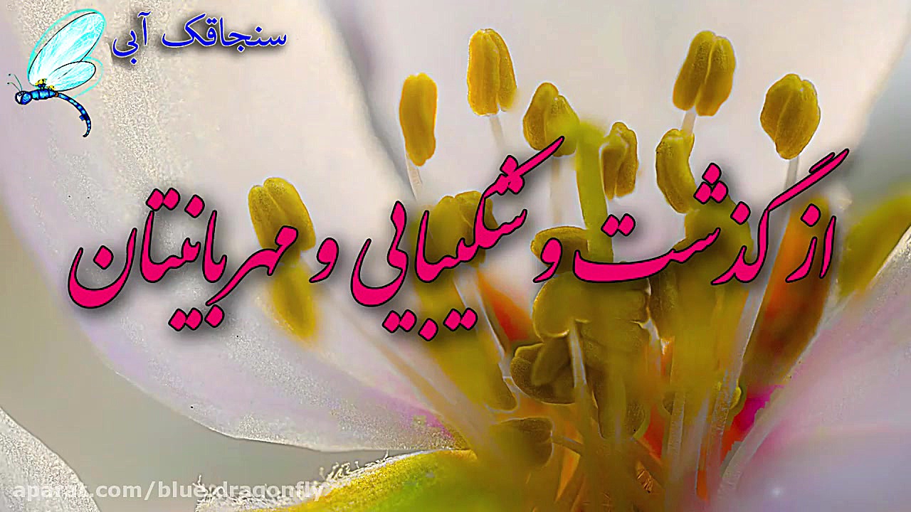 کلیپ تبریک روز پرستار  قدردانی...