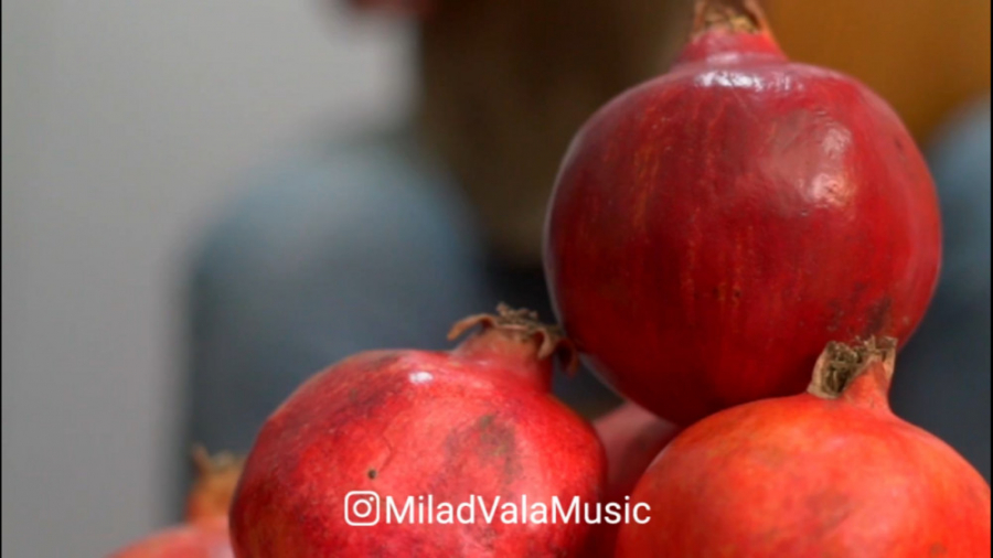 ویژه برنامه اجرای موسیقی شب یل...