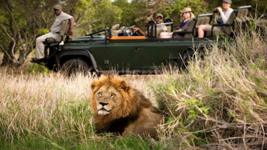 پارک ملی کروگر