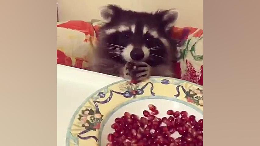 منانار دوس دارم