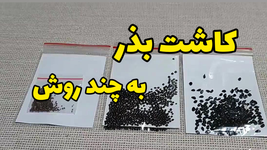 فیلم آموزش کاشت بذر