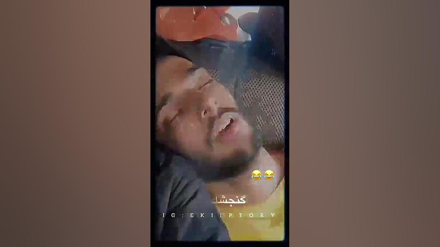 گنجشک لالا ممدرضا