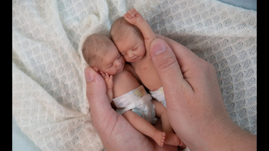 نگهداری و شیر دادن به 2 قلوهای...