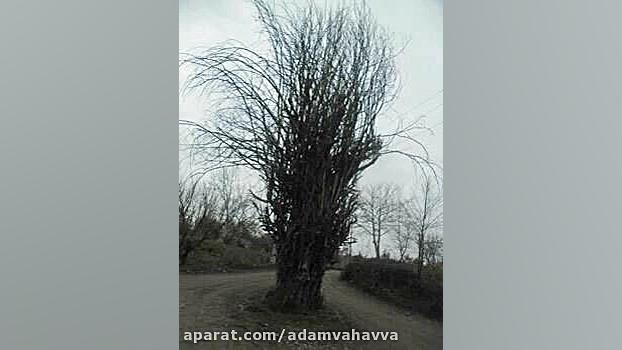 دایره المعارف عرفانی جلد۴ قسمت...