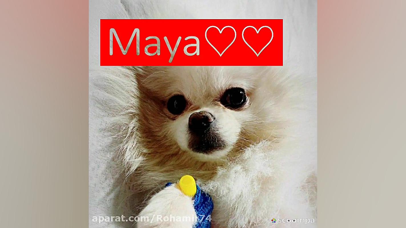 زودتر خوب شو