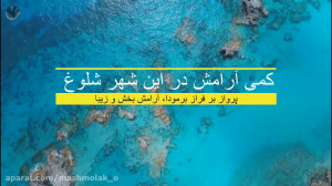 پرواز بر فراز برمودا، کلیپ آرا...
