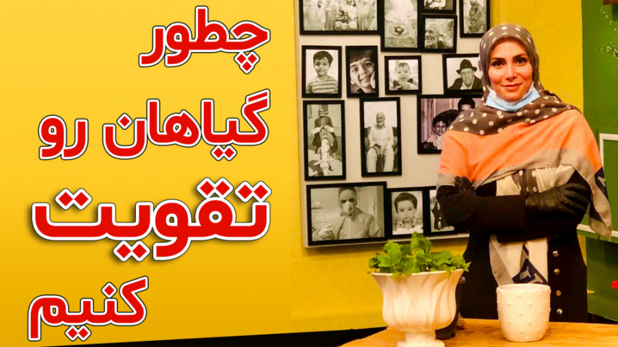 تقویت خاک گیاهان بدون تعویض خا...