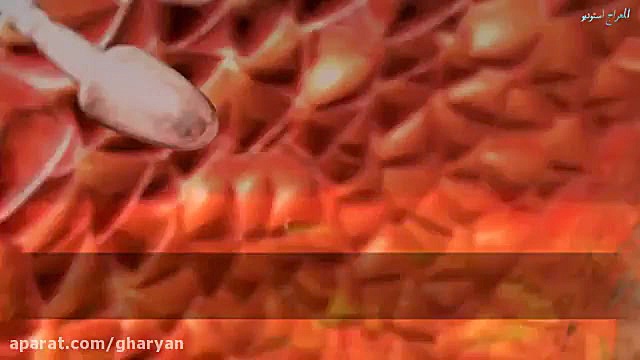 تلاوت بسیار زیبا و کلاسیک از ا...