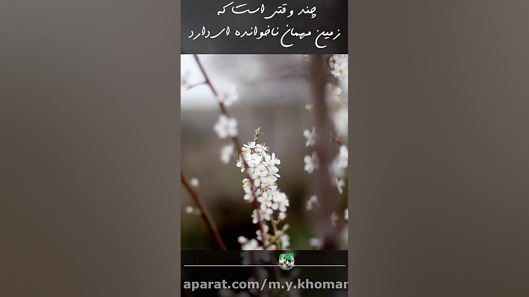 مدافعین سلامت سبز قامت