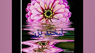 تقدیم واسه دنبال کننده های قدی...