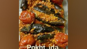 بادمجان شکم پر گوجه شکم پر دلم...