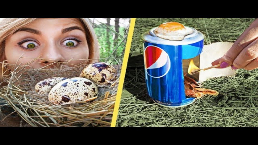 10 ترفند هوشمندانه برای زنده م...