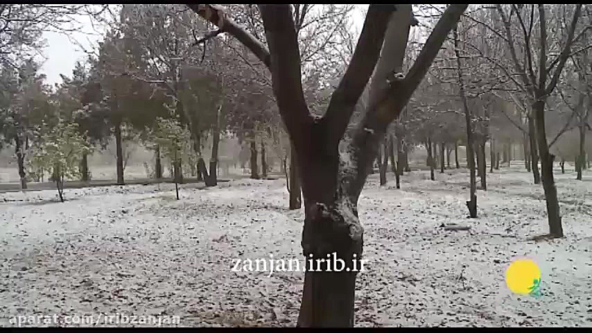 ترانه زیبای حجت اشرف زاده | مه...