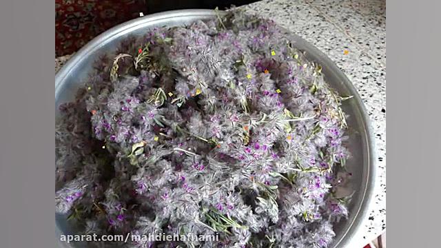 روستای زشک در مشهد مقدس