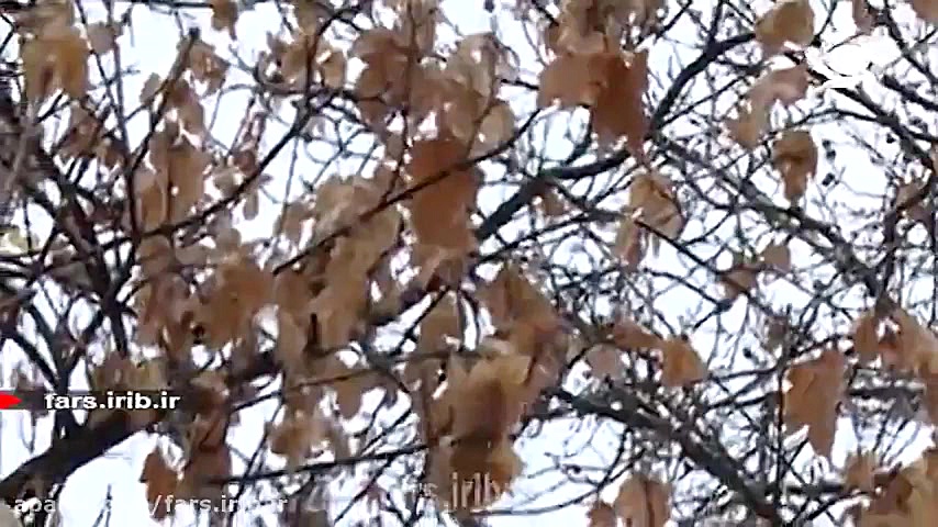 ترانه آرامبخش &quot; بدرقه &qu...