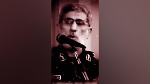 استوری سردار دلها شهید حاج قاس...