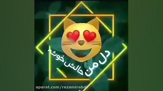 کلیپ زیبا  آهنگ زیبا