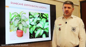 مسمومیت با گیاهان خطرناک
