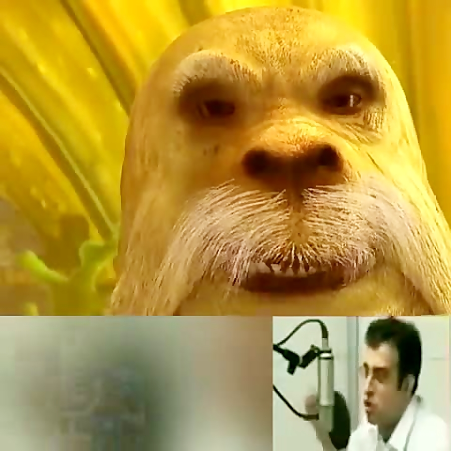 پشت صحنه دوبه طعمه کوسه -حامد عزیزی
