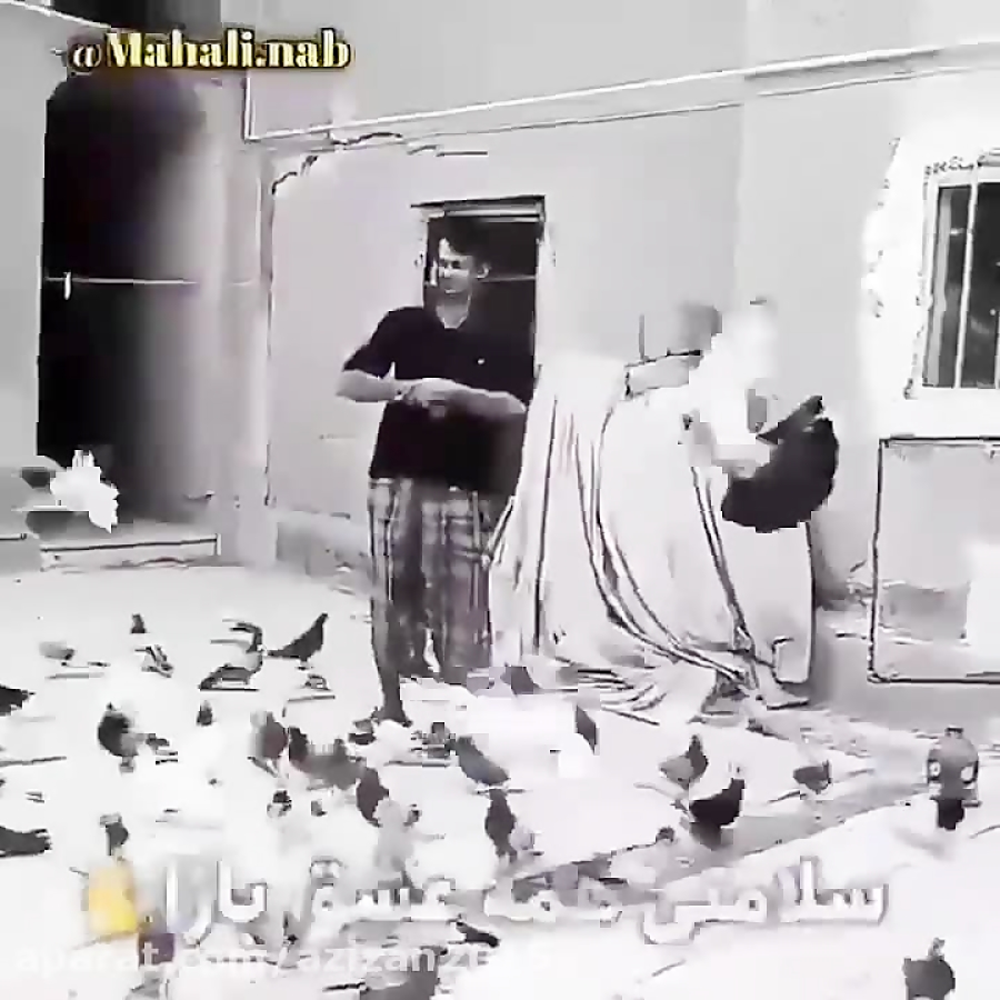 تقدیم به عشق بازان