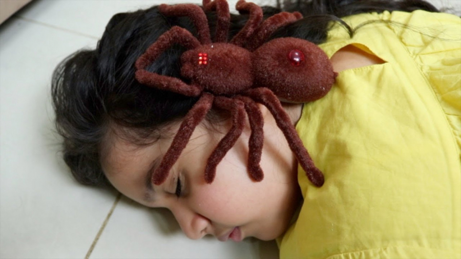 حمله عنکبوت !