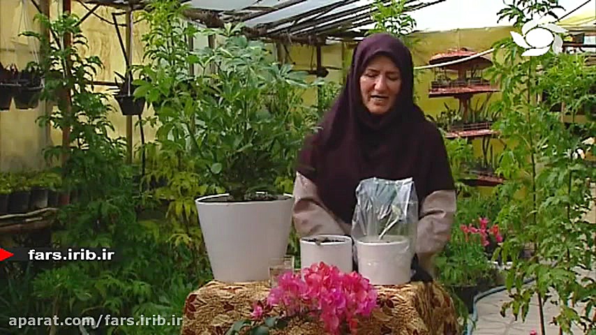 آموزش نگهداری و پرورش گیاه &qu...