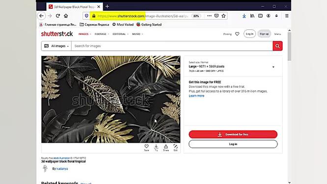 ربات دانلود از شاتراستوک  shut...