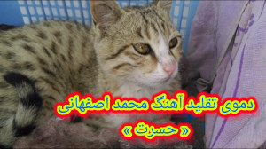 دموی تقلید آهنگ محمد اصفهانی &...