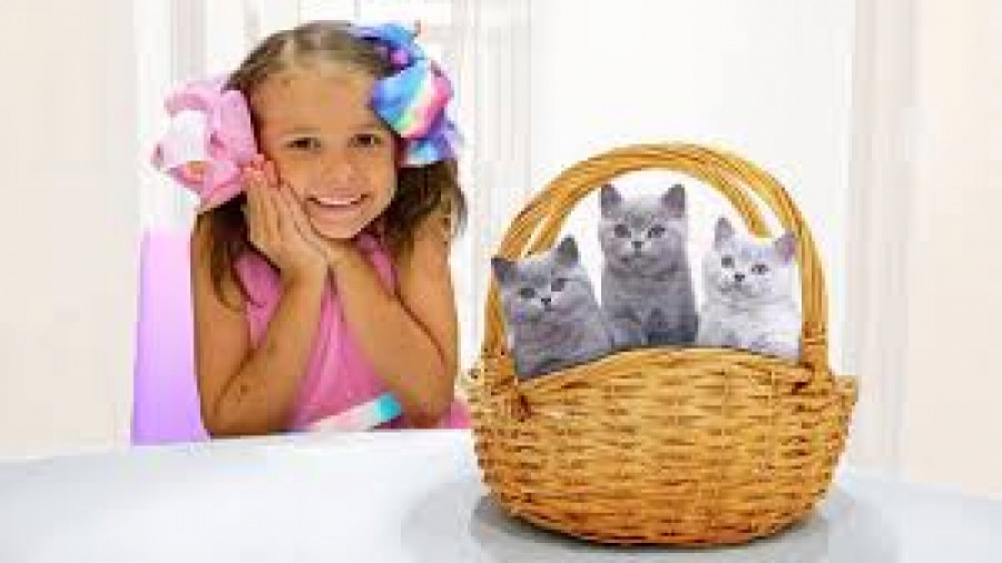 کتی و مکس  کتی بچه گربه هایش ر...