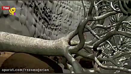 کارتون ماجراهای جنگل قسمت 130