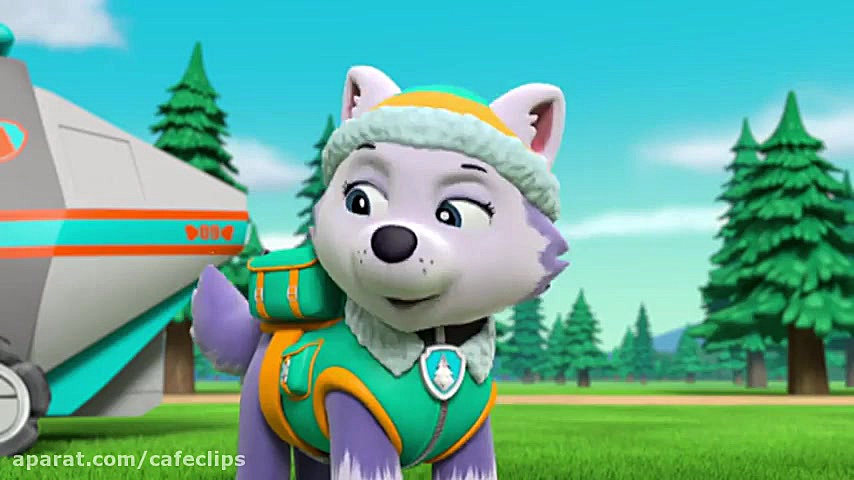 دانلود کارتون سگهای نگهبان  سگ...