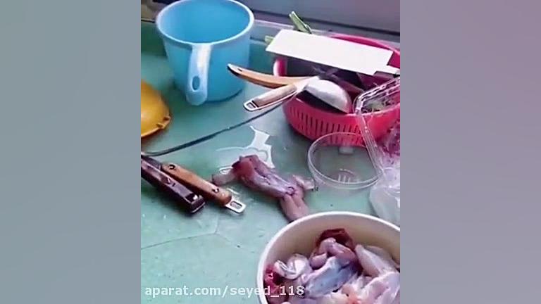 این چه سمی بود دیدم آخر شبی O:...