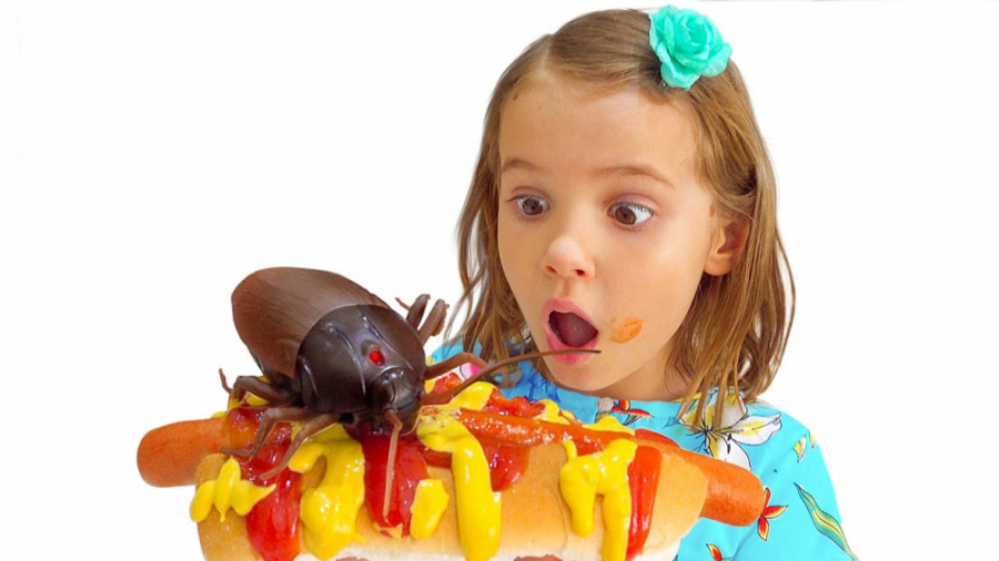 کتی و داستان سوسک