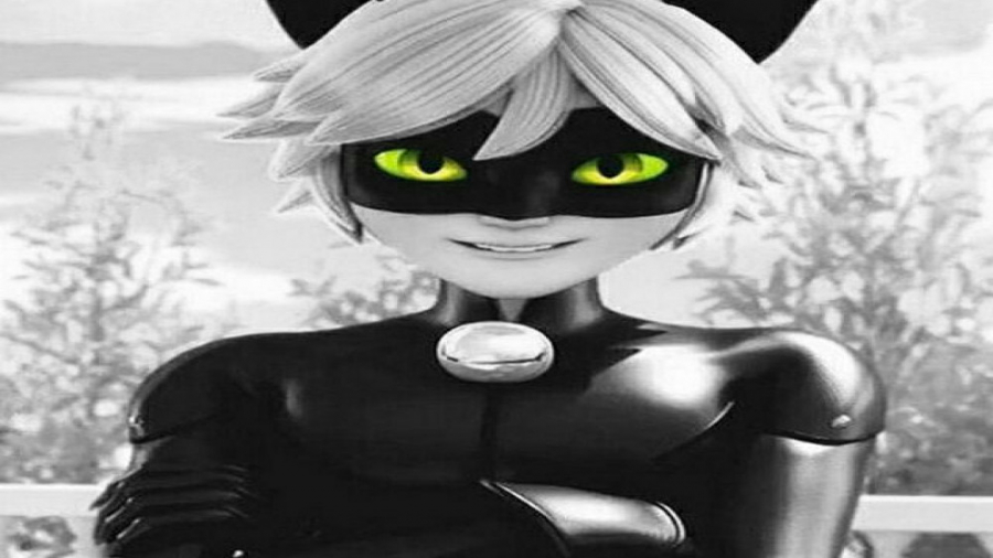 رقص کت نوار :: میراکلس لیدی با...