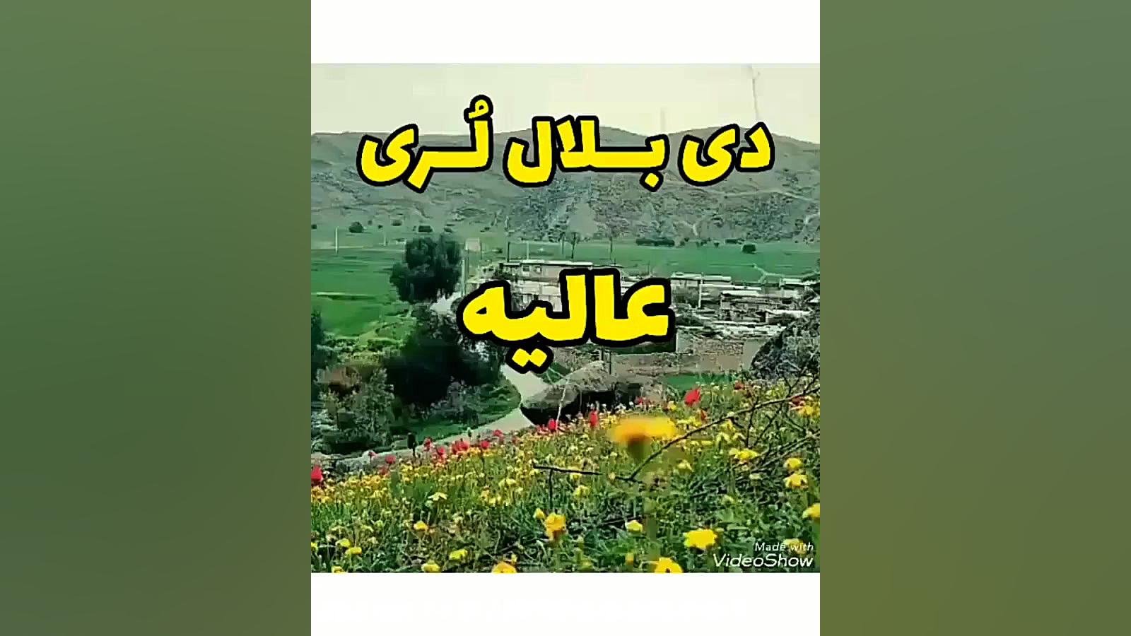 کلیپ لری  دی بلال لری  عالیه