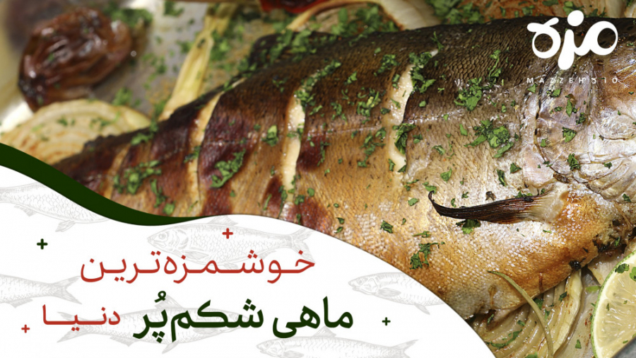 خوشمزه ترین ماهی شکم پر دنیا