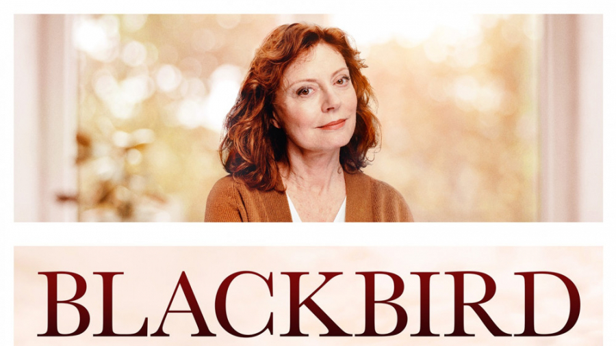 فیلم پرنده سیاه 2019  زیرنویس...