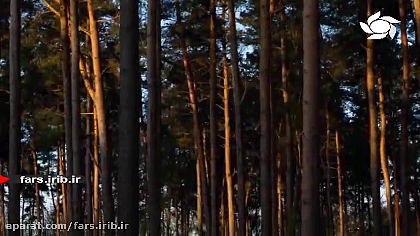 ترانه &quot; آفتاب مهربانی &qu...