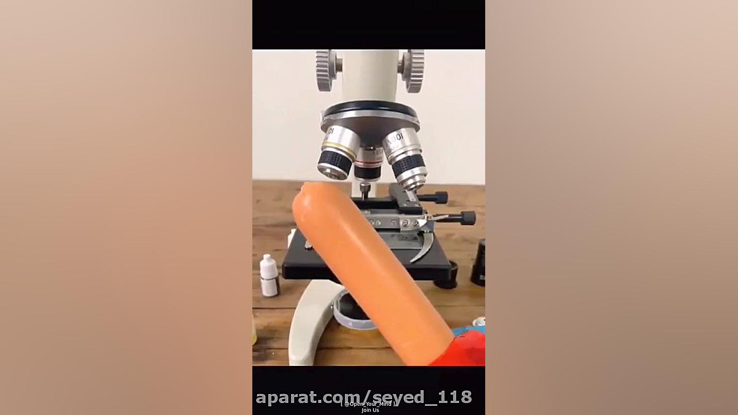 سوسیس رو زیر میکرسکوپ ببینید!...