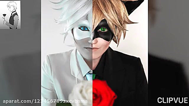 کالپسی کت بلنس