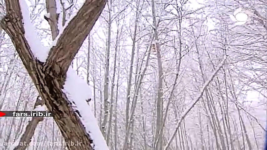 ترانه زیبای " گذشته ها &q...