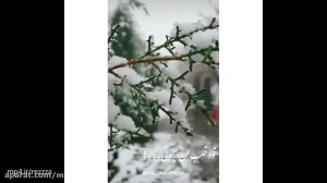 کلیپ برفی برای وضعیت واتساپ