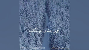 دکلمه زیبا. دیالوگ عاشقانه. دک...