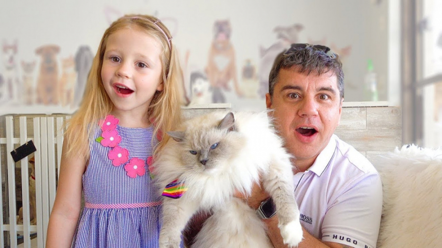 استیسی شو  ناستیا شو  استیسی و...