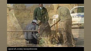 کنترل جمعیت جوندگان و کاهش بیم...