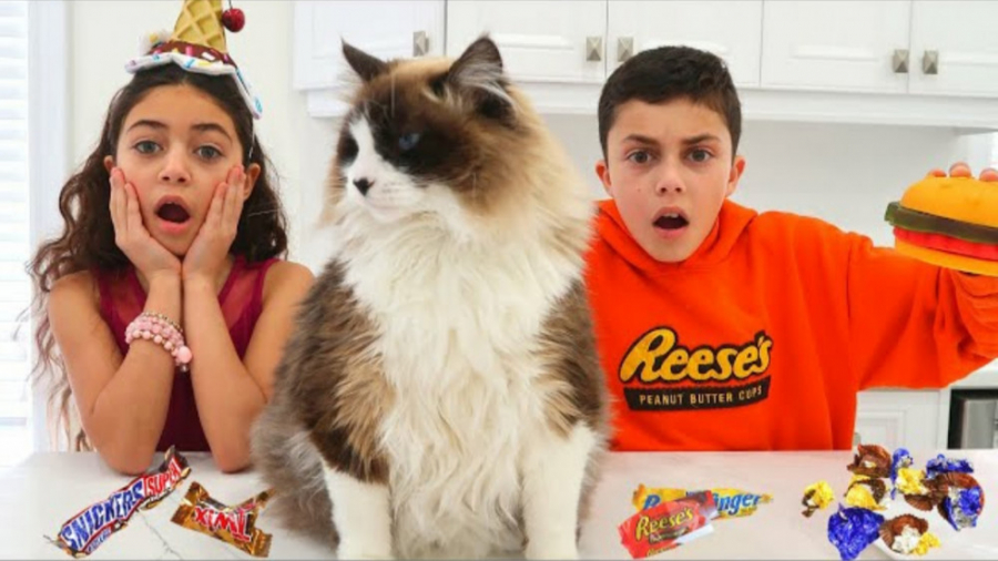 داستان بازی سرگرم کننده هایدی...